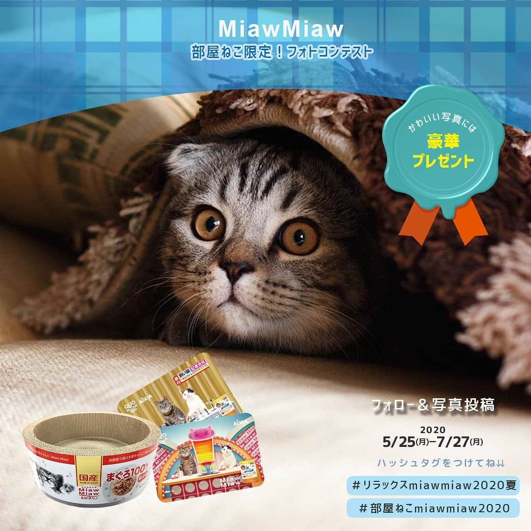 MiawMiawさんのインスタグラム写真 - (MiawMiawInstagram)「＼部屋ねこ限定🐈🏠！フォトコンテスト開催中📷🏆！／⁣ ⁣ MiawMiawはただいまフォトコンテストを開催中♪⁣ 自慢の猫ちゃんを投稿して豪華賞品をGETしよう🎉⁣ ⁣ おうち時間が増えて、みなさんも猫ちゃんと一緒の時間が増えているはず✨⁣ おうちの中でかわいい猫ちゃんの写真を撮ったら、⁣ テーマに合う指定の応募ハッシュタグをつけて投稿してください🐈💓⁣ ⁣ ⁣ ＜参加方法＞⁣ ① @miawmiaw_series (ミャウミャウ公式アカウント)をフォロー⁣ ② 応募テーマに合ったお写真を撮影する（おうちの中での写真なら過去の写真でもOK)⁣ ③ 下記のフォトコン専用ハッシュタグの中から、一つ選んで投稿する（複数応募・複数枚投稿可）⁣ ※キャンペーン期間外(過去投稿)の投稿に応募ハッシュタグを付けた場合はキャンペーンの応募対象外とさせていただきます。ご了承ください。⁣ ⁣ ＜フォトコン専用ハッシュタグ＞⁣ ①～②のいずれかの応募テーマを選択し、指定のハッシュタグを付けて投稿してください♪⁣ ⁣ 【①猫ちゃんのリラックスしているフォト】⁣ #リラックスmiawmiaw2020夏⁣ ※「2020夏」を付けていただかないと今回の応募の対象になりませんのでご注意ください。⁣ ⁣ 【②お部屋の中にいる猫ちゃんのフォト】⁣ #部屋ねこmiawmiaw2020⁣ ⁣ フォトコンテスト期間中、指定のハッシュタグでご参加いただいている方を、当アカウントでご紹介させていただくこともございます😻📷♪⁣ ⁣ ＜募集期間＞⁣ 2020年5月25日(月)～2020年7月27日(月)23:59まで⁣ ⁣ ＜賞品＞⁣ 🏆大賞　各テーマ1名様　：投稿フォト入りオリジナル猫用爪とぎ＋MiawMiaw商品詰め合わせ⁣ 🏆金賞　各テーマ3名様　：オリジナルQUOカード( 合計800円分)＋MiawMiaw商品詰め合わせ⁣ 🏆銀賞　各テーマ5名様　：MiawMiaw商品詰め合わせ⁣ ⁣ ※賞品の画像はイメージです。変更になる場合がございます。⁣ ⁣ ＜当選者様へのご連絡＞⁣ 当選者発表は8⽉中旬を予定しております。⁣ 当選者の⽅には Instagram上のDMにてご連絡致します。⁣ ⁣ ＜ご注意＞⁣ ＊本キャンペーンにご参加いただくことにより、本募集要項に同意いただいたものとみなします（未成年の方については、親権者に同意いただいたものとみなします）。⁣ ＊選考時に、アカウントフォロー及び指定のハッシュタグ投稿を継続いただいていることが確認できない場合、選考の対象から外れることがあります。フォトコンテスト終了からおおむね1か月程度、参加条件に達する状態を継続いただくことをお勧めします。⁣ ＊アカウントを非公開設定にしている場合は選考対象外となります。⁣ ＊再選考は行いません。⁣ ＊当選者は、配送の都合で日本国内にお住まいの方に限らせていただきます。⁣ ＊企業アカウントからのご応募は選考対象外となります。⁣ ＊賞品の返品・交換はできませんのでご了承くださいませ。⁣ ＊賞品の転売は禁止させていただきます。⁣ ＊通信環境の問題でDMが不着となった場合、又はご当選通知のDMに記載の手続きを履行いただけない場合、ご当選の資格は無効となります。⁣ ＊賞品画像はイメージとなります。⁣ ＊本キャンペーン参加にあたって生じるインターネット接続料や通信料、当選連絡DMに記載の手続を履践するにあたって生じる諸費用は、ご本人様の負担となります。⁣ ＊本キャンペーンで投稿いただいた写真や動画は、当社公式Instagramアカウントにてご紹介させていただく場合がございます。なお、このご紹介は選考結果とは関係がありません。⁣ ⁣ たくさんのご応募お待ちしております😻！⁣ ⁣ #miawmiaw #ミャウミャウ⁣ #部屋ねこ #おうち時間を楽しむ #フォトコンテスト #コンテスト #プレゼント企画 #プレゼント #プレゼントキャンペーン #キャンペーン開催中 #キャンペーン #ねこのいる生活 #ねこばか #ネコ好き #猫 #ねこ #ネコ #にゃんこ #猫部 #猫のいる暮らし #キャットフード #猫好きさんと繋がりたい #猫好き #にゃんこ部 #にゃんすたぐらむ #ねこすたぐらむ #にゃー #stayhome」6月29日 19時40分 - miawmiaw_series