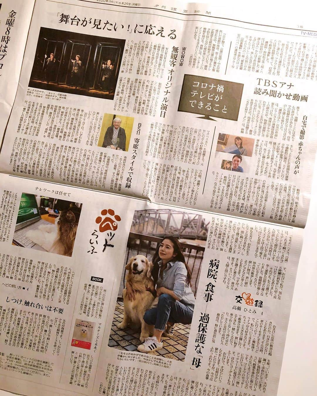 高橋ひとみさんのインスタグラム写真 - (高橋ひとみInstagram)「本日の読売新聞　夕刊 「ペットらいふ🐾」 交遊録 第4話(最終話) 最後までお読みいただきありがとうございました😊 (写真はお父さん撮影です🎵)」6月29日 20時01分 - hitomi_momoe