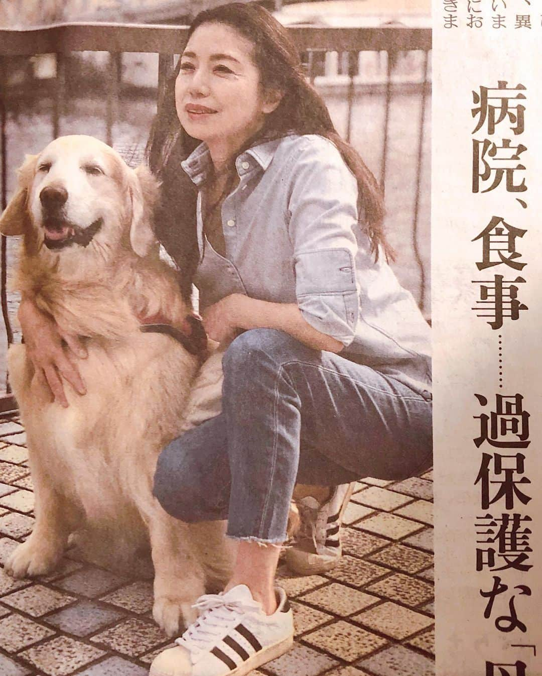 高橋ひとみさんのインスタグラム写真 - (高橋ひとみInstagram)「本日の読売新聞　夕刊 「ペットらいふ🐾」 交遊録 第4話(最終話) 最後までお読みいただきありがとうございました😊 (写真はお父さん撮影です🎵)」6月29日 20時01分 - hitomi_momoe