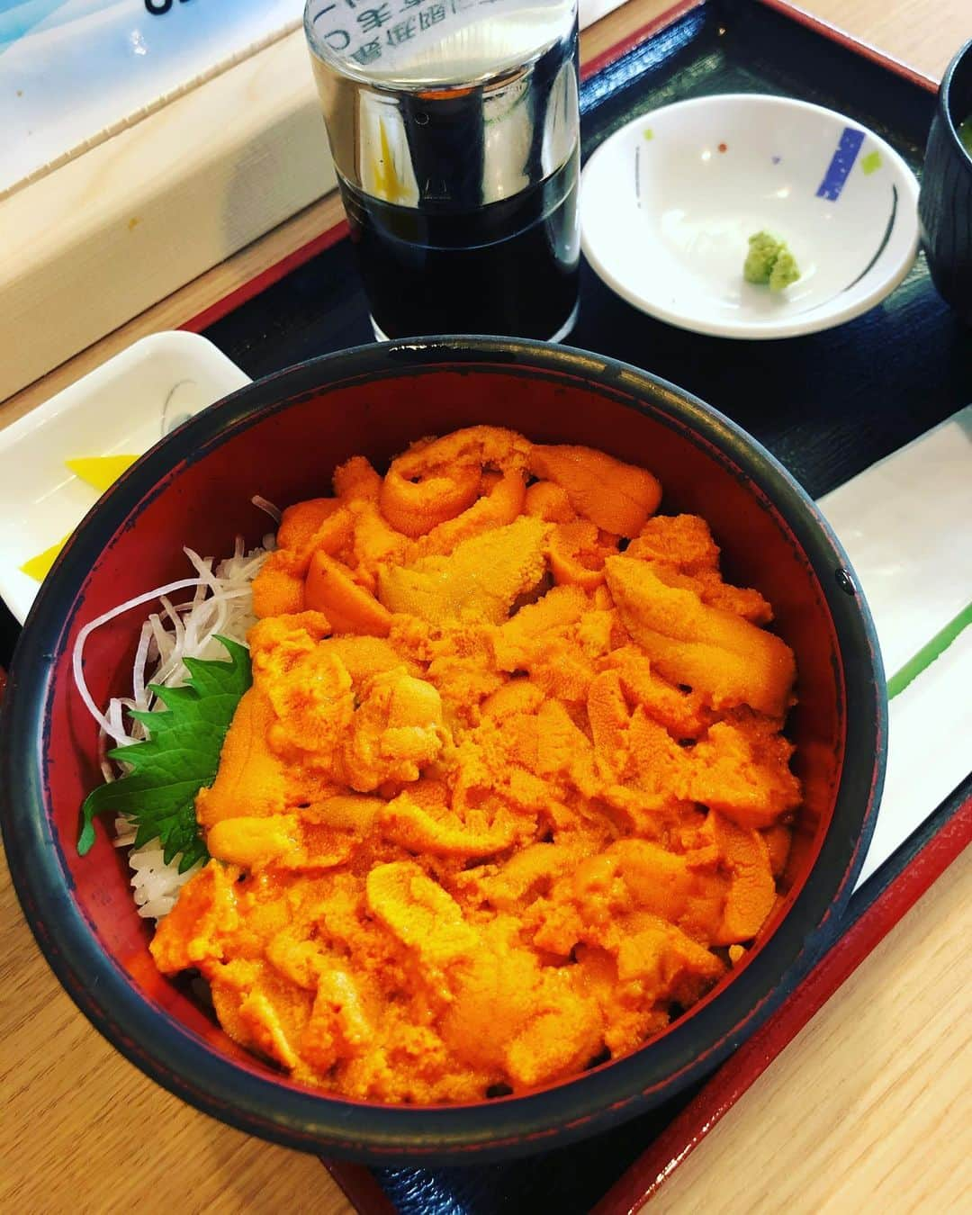 michi のインスタグラム：「ちょっとドライブして海辺の街へ。 限定20食のバフンウニの丼ぶりと三色丼で贅沢ブランチした週末でした。  #北海道グルメ #積丹　#積丹うに　#週末ドライブ #贅沢な時間 #北海道観光」