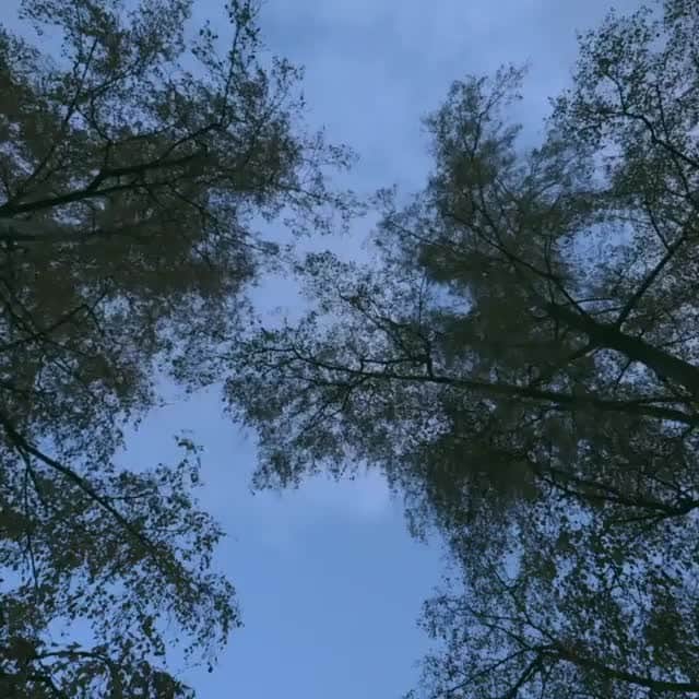 Dr. Hauschka Japan ドクターハウシュカのインスタグラム