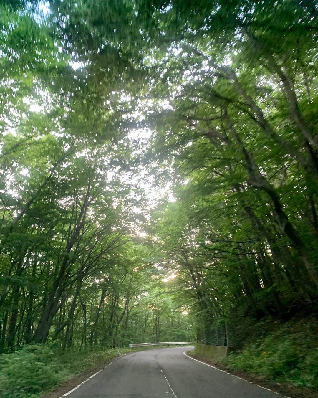 片平里菜さんのインスタグラム写真 - (片平里菜Instagram)「川内村🌲🌻☀️❣️」6月29日 20時07分 - katarina_81