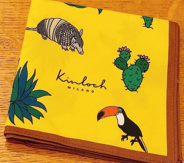 佐藤千晶のインスタグラム：「Kinloch（キンロック） お気に入りのハンカチ。 持ってるだけで元気になりそう（笑） ユナイテッドアローズのセールで40%OFFでした。エストネーションでも見かけたことがあります😊  #BAILAブログ更新 #ハンカチ #バンダナ #ユナイテッドアローズ #エストネーション #Kinloch #キンロック #セール #バイラーズ #佐藤千晶」