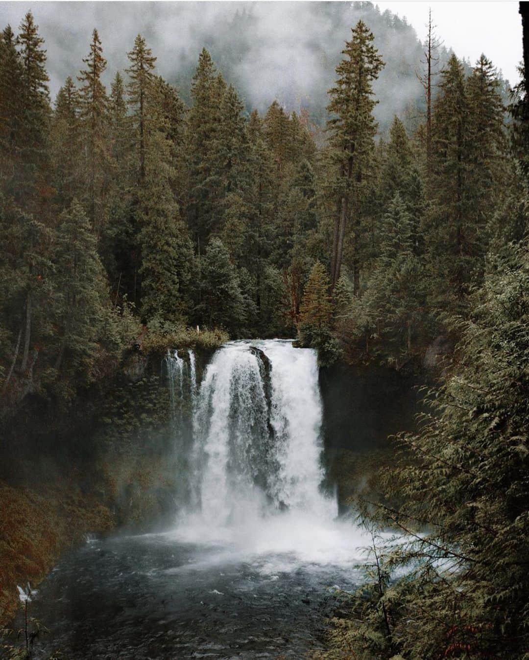 FOLKのインスタグラム：「Monday morning is here again. A new week begins. A week to complain less. A week to drink more water. A week to be more active. A week to be more positive, powerful, and passionate. Grab it. Run with it. Enjoy it. Photo from Oregon by @chrishenry」