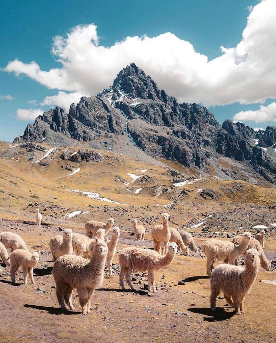 Discover Earthさんのインスタグラム写真 - (Discover EarthInstagram)「🇵🇪 #discoverPeru : Who here has been to Peru ? Did you ever see such wonderful  landscapes?  Yesss there is a llama emoji ;p 🦙 Photos by @zachtesta」6月29日 21時00分 - discoverearth