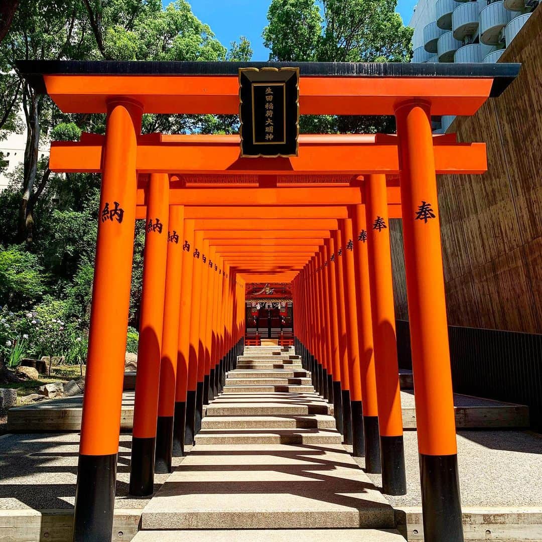 あっくんのインスタグラム：「#生田神社 #ikutashrine  #神戸 #三宮 #kobe #sannomiya  #御祭神 #稚日女尊 天照大神が天岩戸に閉じこもったきっかけとなった神様。  天照大神の別名が大日女（おおひるめ。大日孁）であり、稚日女は天照大神自身のこととも、幼名であるとも、妹神や御子神であるとも言われています。  #稲荷神社 #inari  #御祭神 #稲倉魂命 稲の神様。須佐男の子。 #生田の森 源平合戦の戦場  色々なエネルギーが交差している神社でした。自分のエネルギーが弱ってる時に行くと微妙なのかも  #パワースポッチャー」