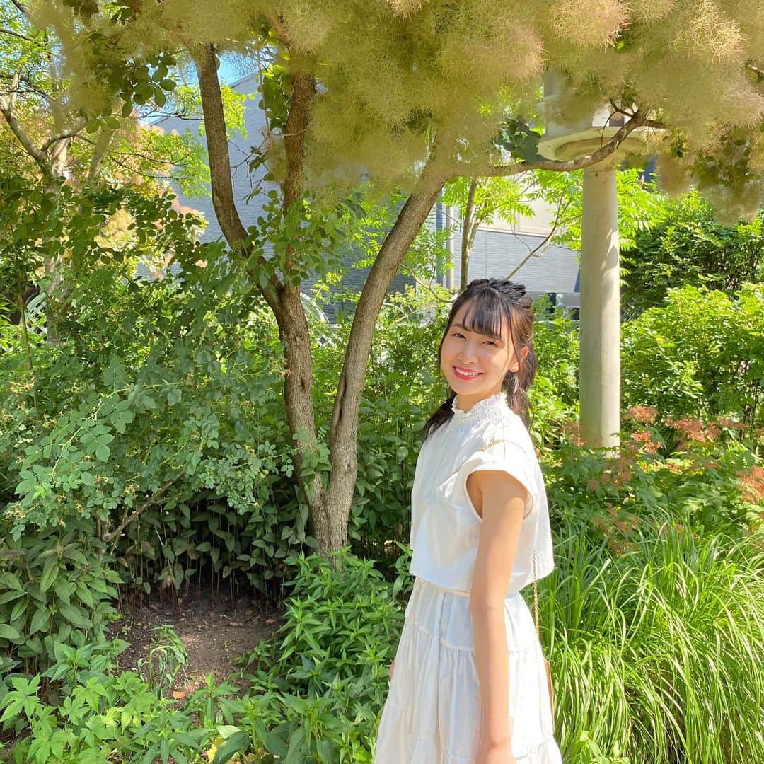 富永夢有さんのインスタグラム写真 - (富永夢有Instagram)「. 🤍 . . #ngt48 #富永夢有 #みつけイングリッシュガーデン #白ワンピ #🤍 #followme #좋아요」6月29日 21時18分 - tomichan_0716