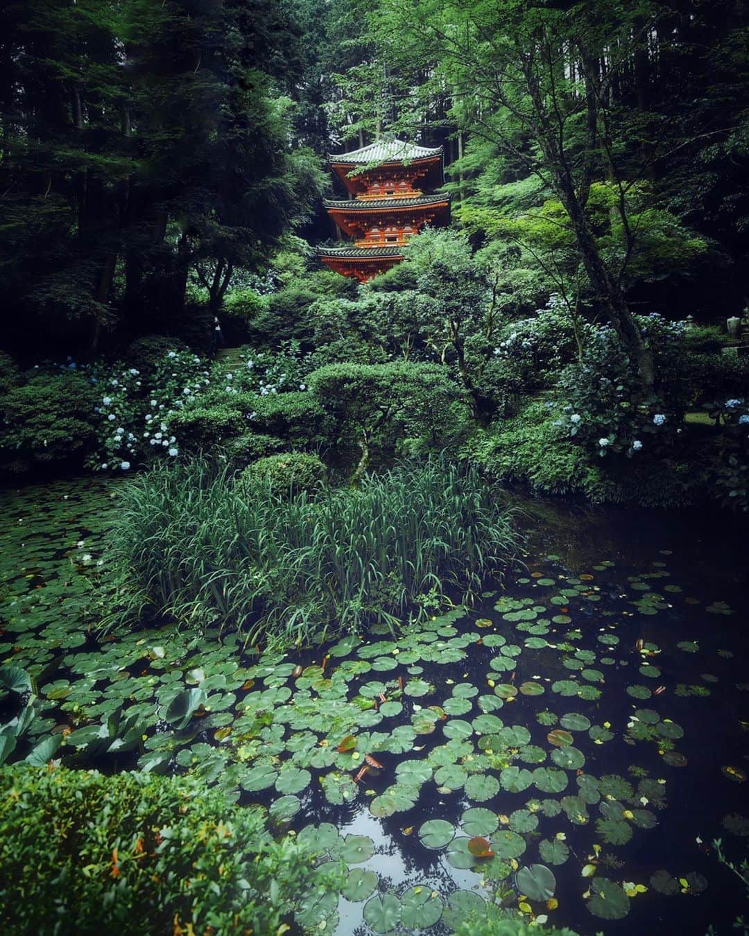 Koichiのインスタグラム：「| Pond and Pagoda . #Hellofrom #Kyoto #BeautifulJapan . #岩船寺 #京都 .」
