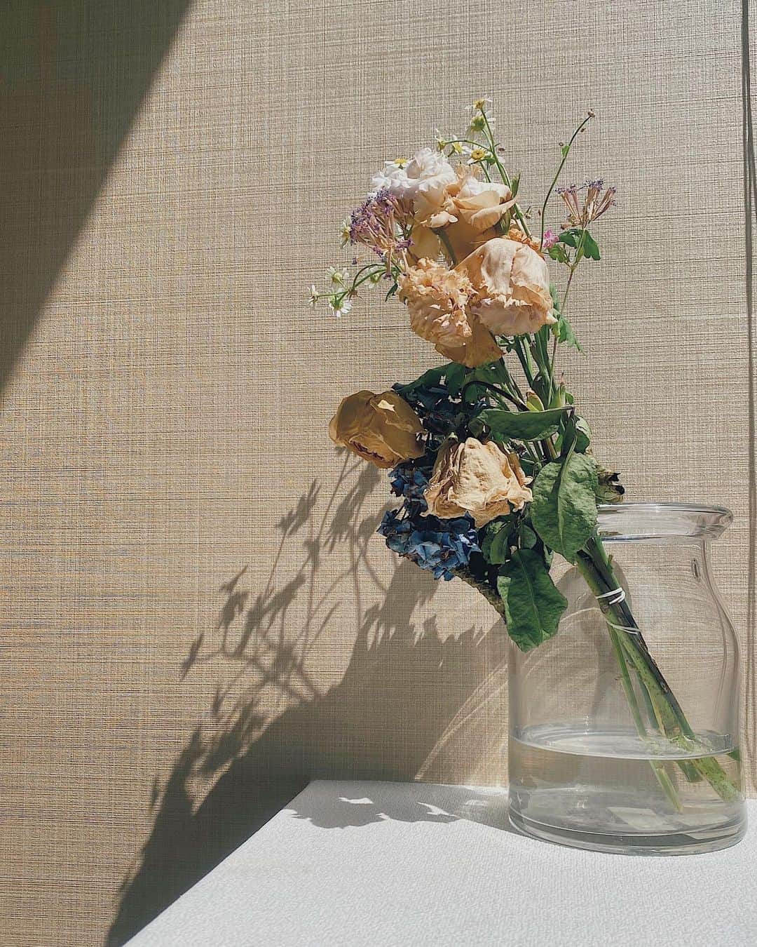 池上紗理依さんのインスタグラム写真 - (池上紗理依Instagram)「枯れてる姿もきれいね🥀 #flowers #dryflower」6月29日 21時52分 - sarii_ikegami