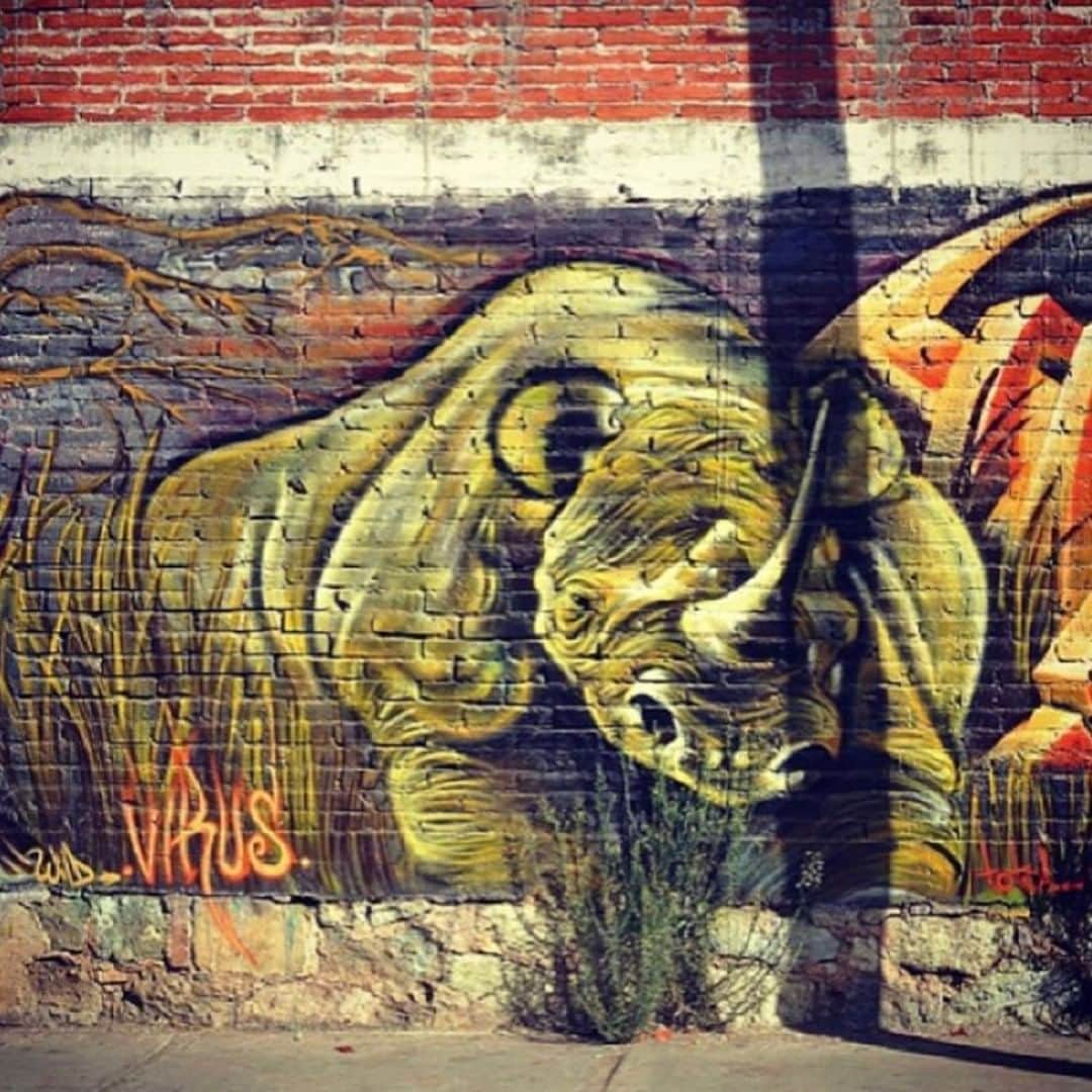エコーレッドのインスタグラム：「Time for the Rhino takeover.」