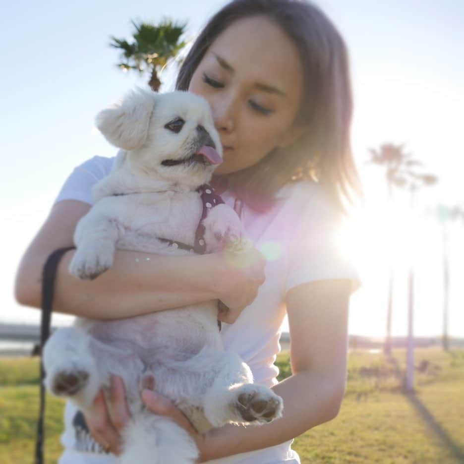 こなつのインスタグラム：「癒しの休日🐶👩🏼🌴💓」