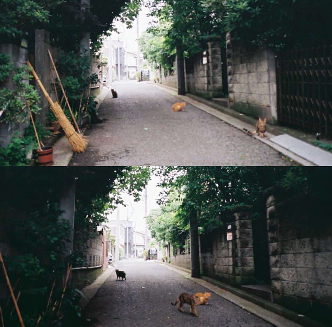 志田彩良のインスタグラム：「・ 少し前に新しい作品に入りました。 毎日楽しいけど 足りないものが多すぎて悔しい。 頭で考えすぎて自分で自分を 固めてしまっている気がするなぁ。 難しい、、、。楽しみます。」
