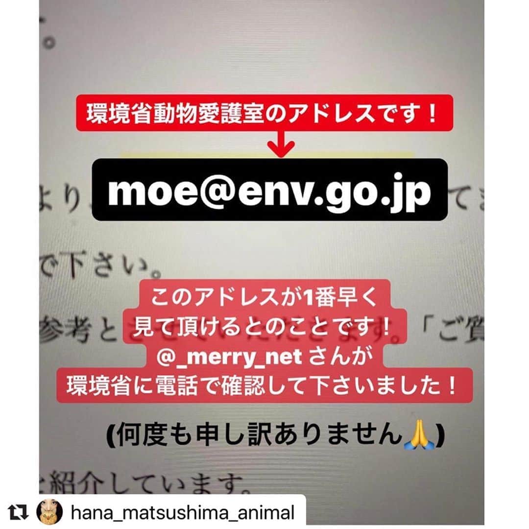 二階堂ふみのインスタグラム