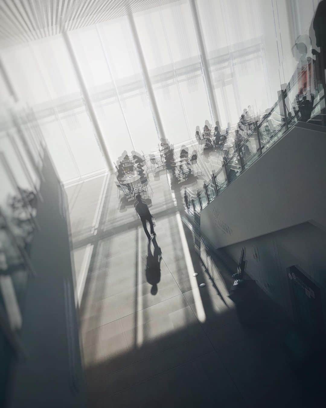 ima_ju / Jun Iのインスタグラム：「: : Dizzy / めまい : : : ::」