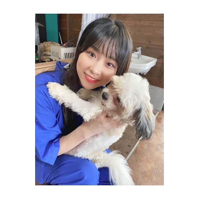 金子みゆさんのインスタグラム写真 - (金子みゆInstagram)「🐶﻿ わんこに好かれないんだけど、、、😅🙃﻿ ﻿ 人間には好かれたいですね(^-^)」6月29日 22時37分 - kaneko_miyu0813