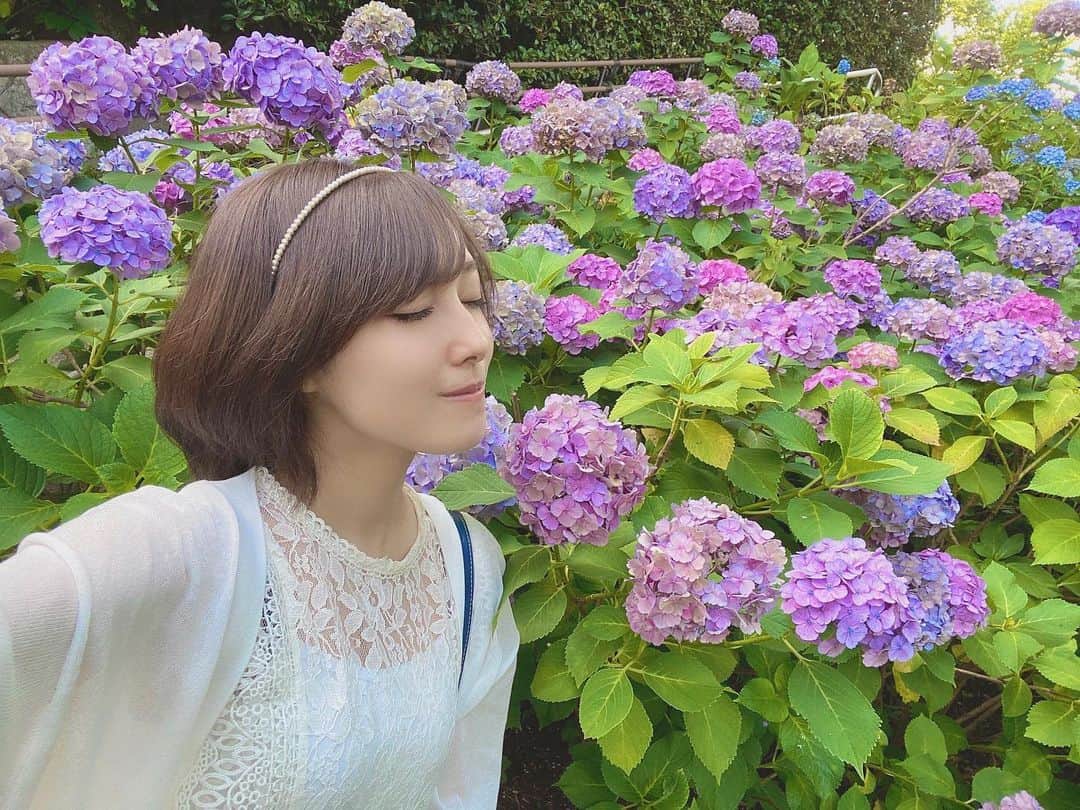 amiさんのインスタグラム写真 - (amiInstagram)「あじさいすきー🌨🌱 #あじさい #紫陽花 #梅雨 #jewel_jp」6月29日 22時54分 - amidesudoumo
