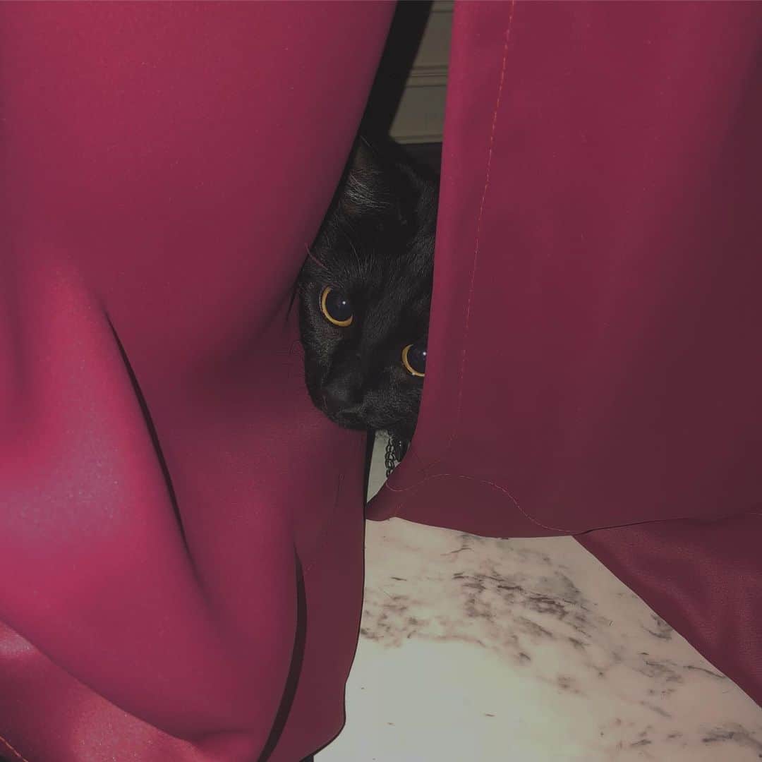 chiiiiiのインスタグラム：「baby」