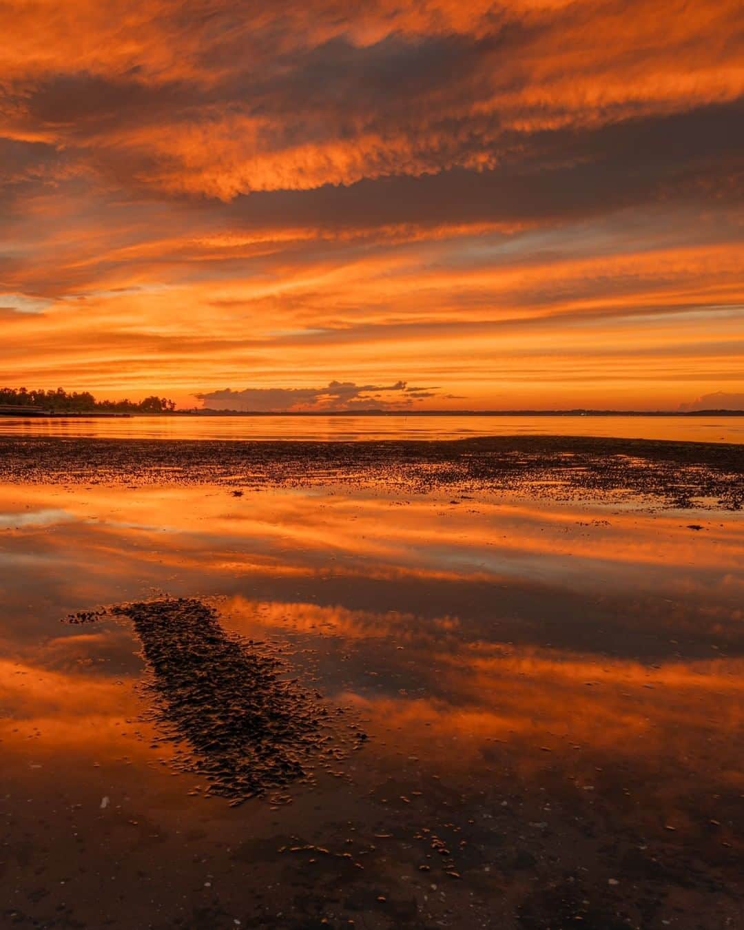のインスタグラム：「This past weekend, you might have been lucky enough to see one of the most colorful sunsets that ever swept across the New York area, captured here by @mikecarrollphoto from Cliffwood Beach in Keyport, New Jersey.  Did you grab a shot of this spectacular post-thunderstorm sunset? Please share with us on our Facebook page (link in bio). And of course, this wide angle view and fine color detail is possible thanks in part to the SIGMA 14-24mm DG HSM Art lens.  https://bit.ly/14-24-dg-hsm-art  #sigmaphoto #SIGMA #sigma1424mmart #sigma1424f28art #sunset #sunsetphotography #sunsets #newyork #newyorkcity #newjersey #photography」