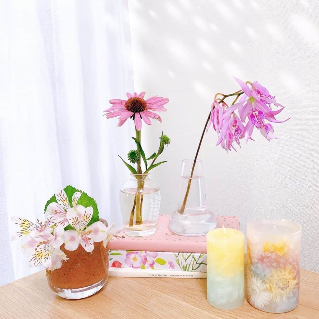 Sayakaのインスタグラム：「* Pink💗Pink💗Pink💗 一輪挿しコーナーが気付いたらピンクがいっぱい🌺✨ 見てるだけで癒される☺️💖 . .  #flowerstagram #pink #alstromeria #echinacea #encyclia  #sayakasflower #candle #merveillecandle #sayakas_favorite  #花 #アルストロメリア #エキナセア #エンシクリア #花のある暮らし #花のある生活 #キャンドル #メルベイユキャンドル #インテリア #おうち時間」
