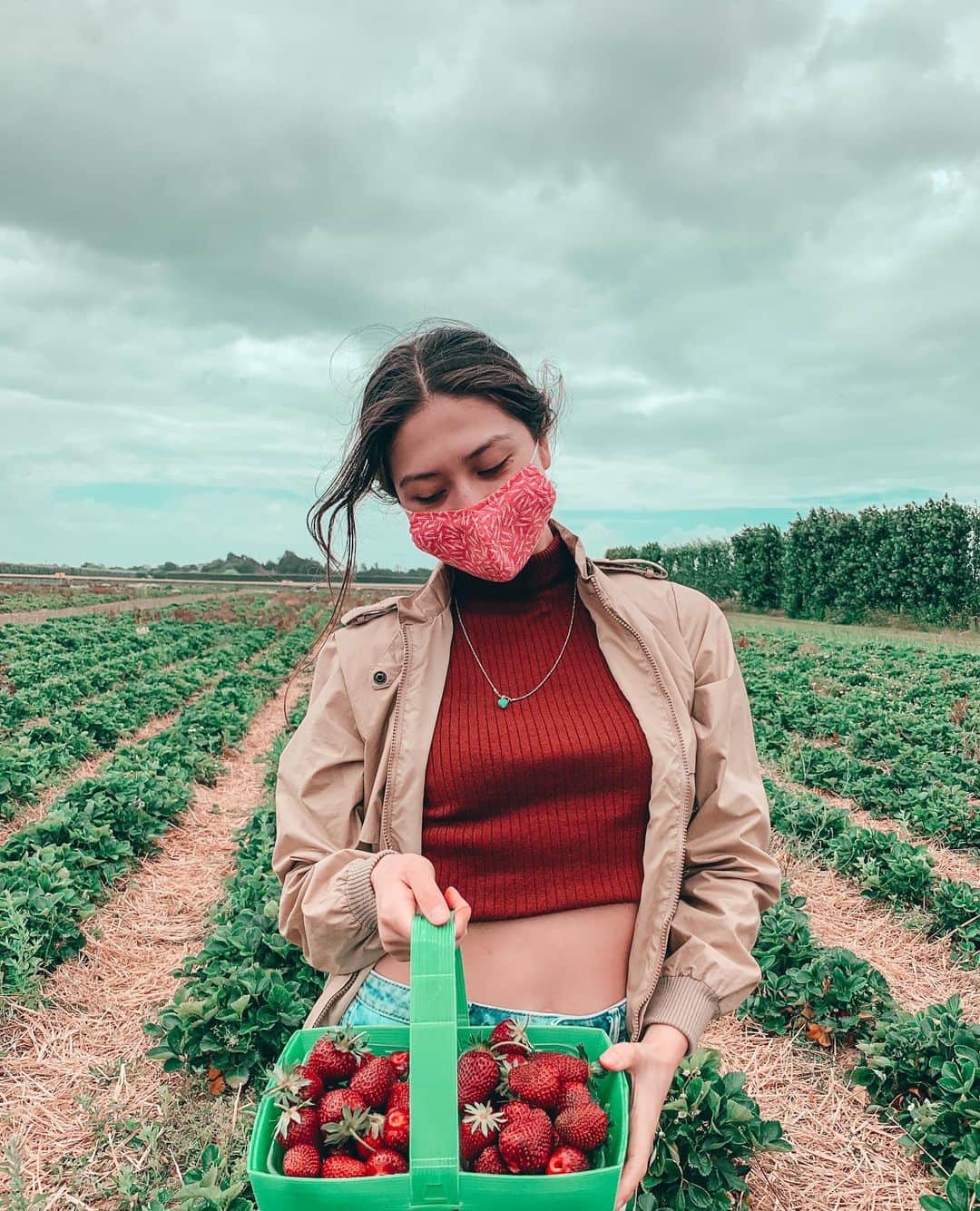 リン・ハッチソンのインスタグラム：「🍓🍓🍓🍓🍓」
