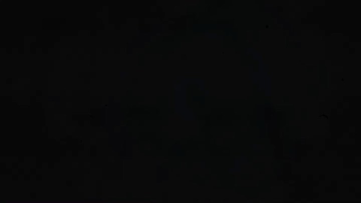 のインスタグラム：「long edit @sakanaction_nf」