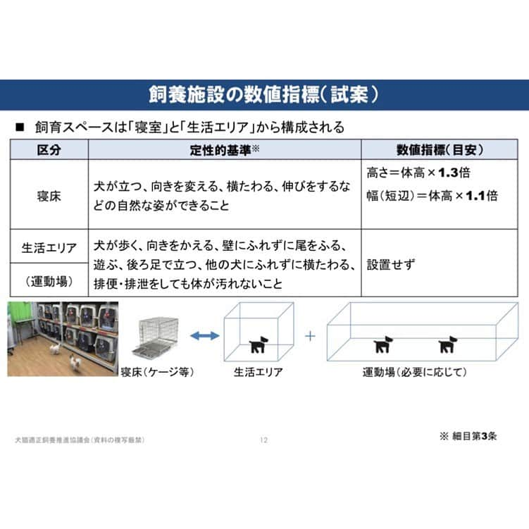 松浦雅さんのインスタグラム写真 - (松浦雅Instagram)「いま、他にも芸能人が声を上げていることで 話題になっています、数値規制についてです。  取り上げるのが遅くなってしまいましたが 簡単に、私なりに、 まとめましたので、ぜひご覧ください。  愛玩動物飼養管理士の資格を取得した際に この件についても目にし、 疑問点しかない基準でした。  なぜこの提案なのかハッキリ言って分かりません。 この残酷な提案をできるという発想自体が…。 本当に、理解不能です。  ただ、私たちには声を上げる事ができます😌 声が大きくなれば、必ず未来は変わります。 みんなで力を合わせて、意見をお送りしましょう。  私個人的には、この寝床の数値はもちろんですが 運動スペースや生活エリアの確保必須の決まりがないのも 問題視すべき点だと思います。 遊ばせる時間や新鮮な水に変えるタイミングなど、 細かく設定し、怠ったら罰されるべきです。 . ＊写真2枚目の資料はこちらのURLから(12p) https://www.env.go.jp/council/14animal/mat53_2-4.pdf . ＊写真7枚目の資料はこちらのURLから(2p) https://www.env.go.jp/nature/dobutsu/aigo/2_data/tekisei/h29_02/mat02_3.pdf . ＊一番最後の写真は、スクリーンショットです。 数値規制のタグをご覧になると分かるのですが いま一番拡散されている画像です。 すみません、拡散されすぎていて こちらの画像の出どころが不明でした。 問題があればご連絡下さいませ。 すぐに削除いたします。  動物の飼養方法についての問題は まだまだ他にもあります。 「繁殖」が人の手で行われる限り、 避けては通れない道です。 見て見ぬ振りが出来る人にならないでください。 考えてみるだけでもいいです。 知って下さい。  私からの、お願いでした。 ぜひ、リポストやスクリーンショットをして拡散お願い致します。 . #数値規制 #数値規制反対ハガキアクション  #数値規制メールアクション  #犬 #わんすたぐらむ #いぬのいる暮らし」6月30日 0時39分 - m.miyabi614