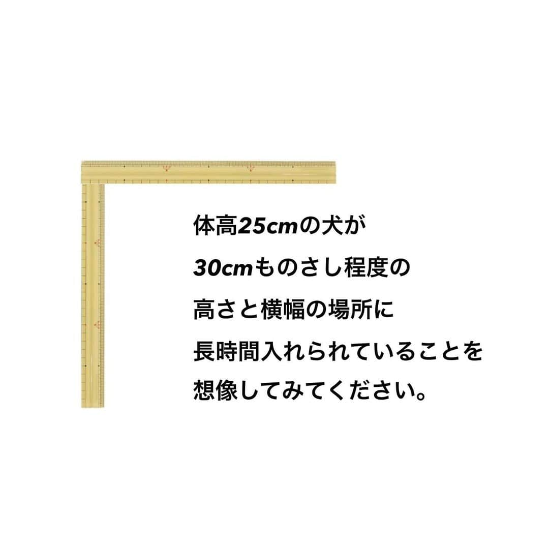 松浦雅さんのインスタグラム写真 - (松浦雅Instagram)「いま、他にも芸能人が声を上げていることで 話題になっています、数値規制についてです。  取り上げるのが遅くなってしまいましたが 簡単に、私なりに、 まとめましたので、ぜひご覧ください。  愛玩動物飼養管理士の資格を取得した際に この件についても目にし、 疑問点しかない基準でした。  なぜこの提案なのかハッキリ言って分かりません。 この残酷な提案をできるという発想自体が…。 本当に、理解不能です。  ただ、私たちには声を上げる事ができます😌 声が大きくなれば、必ず未来は変わります。 みんなで力を合わせて、意見をお送りしましょう。  私個人的には、この寝床の数値はもちろんですが 運動スペースや生活エリアの確保必須の決まりがないのも 問題視すべき点だと思います。 遊ばせる時間や新鮮な水に変えるタイミングなど、 細かく設定し、怠ったら罰されるべきです。 . ＊写真2枚目の資料はこちらのURLから(12p) https://www.env.go.jp/council/14animal/mat53_2-4.pdf . ＊写真7枚目の資料はこちらのURLから(2p) https://www.env.go.jp/nature/dobutsu/aigo/2_data/tekisei/h29_02/mat02_3.pdf . ＊一番最後の写真は、スクリーンショットです。 数値規制のタグをご覧になると分かるのですが いま一番拡散されている画像です。 すみません、拡散されすぎていて こちらの画像の出どころが不明でした。 問題があればご連絡下さいませ。 すぐに削除いたします。  動物の飼養方法についての問題は まだまだ他にもあります。 「繁殖」が人の手で行われる限り、 避けては通れない道です。 見て見ぬ振りが出来る人にならないでください。 考えてみるだけでもいいです。 知って下さい。  私からの、お願いでした。 ぜひ、リポストやスクリーンショットをして拡散お願い致します。 . #数値規制 #数値規制反対ハガキアクション  #数値規制メールアクション  #犬 #わんすたぐらむ #いぬのいる暮らし」6月30日 0時39分 - m.miyabi614