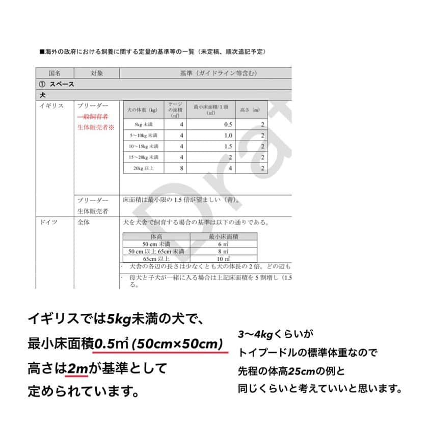 松浦雅さんのインスタグラム写真 - (松浦雅Instagram)「いま、他にも芸能人が声を上げていることで 話題になっています、数値規制についてです。  取り上げるのが遅くなってしまいましたが 簡単に、私なりに、 まとめましたので、ぜひご覧ください。  愛玩動物飼養管理士の資格を取得した際に この件についても目にし、 疑問点しかない基準でした。  なぜこの提案なのかハッキリ言って分かりません。 この残酷な提案をできるという発想自体が…。 本当に、理解不能です。  ただ、私たちには声を上げる事ができます😌 声が大きくなれば、必ず未来は変わります。 みんなで力を合わせて、意見をお送りしましょう。  私個人的には、この寝床の数値はもちろんですが 運動スペースや生活エリアの確保必須の決まりがないのも 問題視すべき点だと思います。 遊ばせる時間や新鮮な水に変えるタイミングなど、 細かく設定し、怠ったら罰されるべきです。 . ＊写真2枚目の資料はこちらのURLから(12p) https://www.env.go.jp/council/14animal/mat53_2-4.pdf . ＊写真7枚目の資料はこちらのURLから(2p) https://www.env.go.jp/nature/dobutsu/aigo/2_data/tekisei/h29_02/mat02_3.pdf . ＊一番最後の写真は、スクリーンショットです。 数値規制のタグをご覧になると分かるのですが いま一番拡散されている画像です。 すみません、拡散されすぎていて こちらの画像の出どころが不明でした。 問題があればご連絡下さいませ。 すぐに削除いたします。  動物の飼養方法についての問題は まだまだ他にもあります。 「繁殖」が人の手で行われる限り、 避けては通れない道です。 見て見ぬ振りが出来る人にならないでください。 考えてみるだけでもいいです。 知って下さい。  私からの、お願いでした。 ぜひ、リポストやスクリーンショットをして拡散お願い致します。 . #数値規制 #数値規制反対ハガキアクション  #数値規制メールアクション  #犬 #わんすたぐらむ #いぬのいる暮らし」6月30日 0時39分 - m.miyabi614