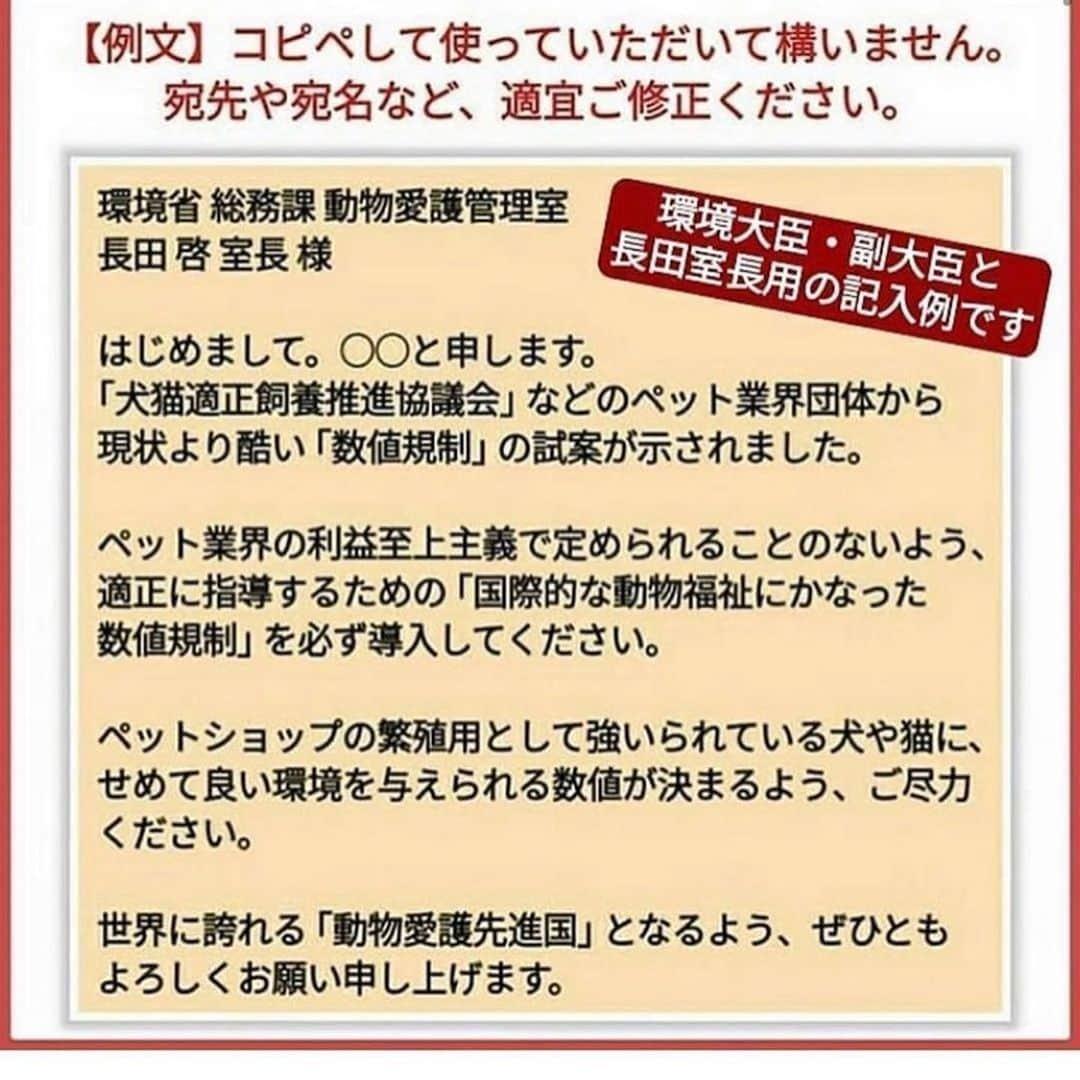 松浦雅さんのインスタグラム写真 - (松浦雅Instagram)「いま、他にも芸能人が声を上げていることで 話題になっています、数値規制についてです。  取り上げるのが遅くなってしまいましたが 簡単に、私なりに、 まとめましたので、ぜひご覧ください。  愛玩動物飼養管理士の資格を取得した際に この件についても目にし、 疑問点しかない基準でした。  なぜこの提案なのかハッキリ言って分かりません。 この残酷な提案をできるという発想自体が…。 本当に、理解不能です。  ただ、私たちには声を上げる事ができます😌 声が大きくなれば、必ず未来は変わります。 みんなで力を合わせて、意見をお送りしましょう。  私個人的には、この寝床の数値はもちろんですが 運動スペースや生活エリアの確保必須の決まりがないのも 問題視すべき点だと思います。 遊ばせる時間や新鮮な水に変えるタイミングなど、 細かく設定し、怠ったら罰されるべきです。 . ＊写真2枚目の資料はこちらのURLから(12p) https://www.env.go.jp/council/14animal/mat53_2-4.pdf . ＊写真7枚目の資料はこちらのURLから(2p) https://www.env.go.jp/nature/dobutsu/aigo/2_data/tekisei/h29_02/mat02_3.pdf . ＊一番最後の写真は、スクリーンショットです。 数値規制のタグをご覧になると分かるのですが いま一番拡散されている画像です。 すみません、拡散されすぎていて こちらの画像の出どころが不明でした。 問題があればご連絡下さいませ。 すぐに削除いたします。  動物の飼養方法についての問題は まだまだ他にもあります。 「繁殖」が人の手で行われる限り、 避けては通れない道です。 見て見ぬ振りが出来る人にならないでください。 考えてみるだけでもいいです。 知って下さい。  私からの、お願いでした。 ぜひ、リポストやスクリーンショットをして拡散お願い致します。 . #数値規制 #数値規制反対ハガキアクション  #数値規制メールアクション  #犬 #わんすたぐらむ #いぬのいる暮らし」6月30日 0時39分 - m.miyabi614