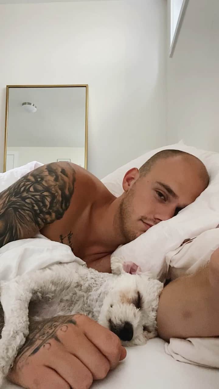 ブランドン・シェイアのインスタグラム：「My pup brings me so much joy... especially in the mornings trying to wake him up. He’d sleep in until noon if he could haha. Just thought I’d share a little bit of my happiness this morning.  Xoxo - B」