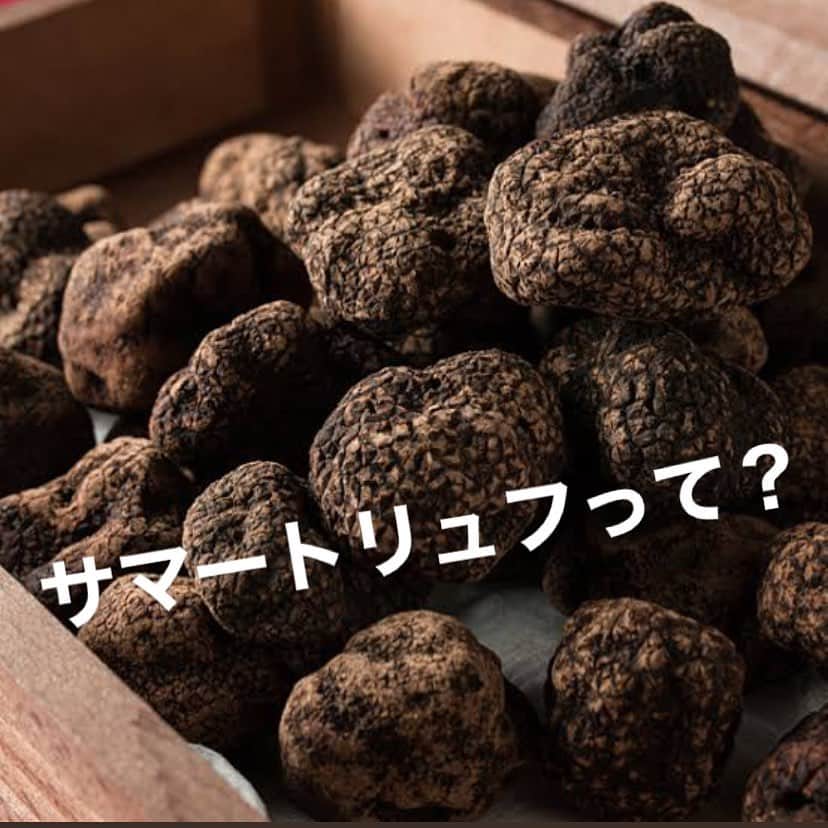 T.G.HEARTH TGハースのインスタグラム：「こんばんはTGハースです♪﻿ 夏近づいてきましたねー‼️﻿ 夏は夏の季節のものを食べたいですよね😉﻿ 夏満喫したいあなた‼️必見です😎﻿ 姉妹店のハース恵比寿店でサマートリュフフェアの企画を考え中です✨✨✨﻿ 黒トリュフにはサマートリュフとウィンタートリュフがあって夏から秋にかけて旬なのがサマートリュフなんです♪ってことは今が旬です😋﻿ 近々開催されますのでその際は是非来てください👍﻿ ﻿ お電話お待ちしています。﻿ ☎️03-6416-9445﻿ ﻿ ﻿ 皆様に安心してご来店頂けるように、換気、アルコール消毒等の感染症予防対策をとらせて頂き、お客様とスタッフの健康に細心の注意を払い営業させていただきます。﻿ 何卒、ご理解、ご協力の程お願い致します。﻿ ﻿ ﻿ 【恵比寿エリア営業内容】﻿ ﻿ 《ハース恵比寿店🧀》﻿ ﻿ [月～金]﻿ Lunch ・お弁当　11：30～15：00 （LO 14：00）﻿ Dinner 　18:00～23：30 （LO 22：30）﻿ ※金曜日は17:00オープンになります。﻿ ﻿ [土・日・祝]﻿ ﾌﾙｵｰﾌﾟﾝ  11：30（ﾗﾝﾁﾒﾆｭｰLO 15:00）﻿ ~23：30 （LO 22：30）﻿ ﻿ 《T.G.ハース》﻿ ﻿ [月～金]﻿ Lunch 　11：30～15：00 （LO 14：00）﻿ Dinner　18:00～23：30 （LO 22：30）﻿ ※金曜日は17:00オープンです﻿ ﻿ [土・日・祝]﻿ Lunch 　11：30～15：30 （LO 14：30）﻿ Dinner　17：00～23：30 （LO 22：30）﻿ ※日曜・月曜・連休最終日は23:00閉店になります。﻿ ﻿ ◆モバイルオーダーも出来るようになりました✨﻿ プロフィールからHPをアクセスしてください♪﻿ モバイルオーダー﻿ https://tgh.for.dinii.jp/﻿ ﻿ ◆Uber eats・menu・出前館によるデリバリー﻿ 11:30〜21:00﻿ ﻿ ◆LINE@登録お願いします♪﻿ https://lin.ee/g0H4jc6﻿ ﻿ ﻿ 皆さまの笑顔に会えますように！💕💕💕﻿ ﻿ #TGハース#代官山ディナー#代官山ランチ#恵比寿グルメ#恵比寿ビストロ#恵比寿ディナー#代官山グルメ #ハース #代官山テイクアウト#恵比寿ランチ#プリン#チーズ#ロティサリーチキン#テイクアウトしよう#menu#恵比寿ワイン#テイクアウト#渋谷ディナー#恵比寿チーズ#tghearth#渋谷区グルメ#渋谷ランチ#恵比寿チーズ#カフェ#チーズケーキ#渋谷テイクアウト#恵比寿新聞#恵比寿ビール#チーズフォンデュ#恵比寿テイクアウト」
