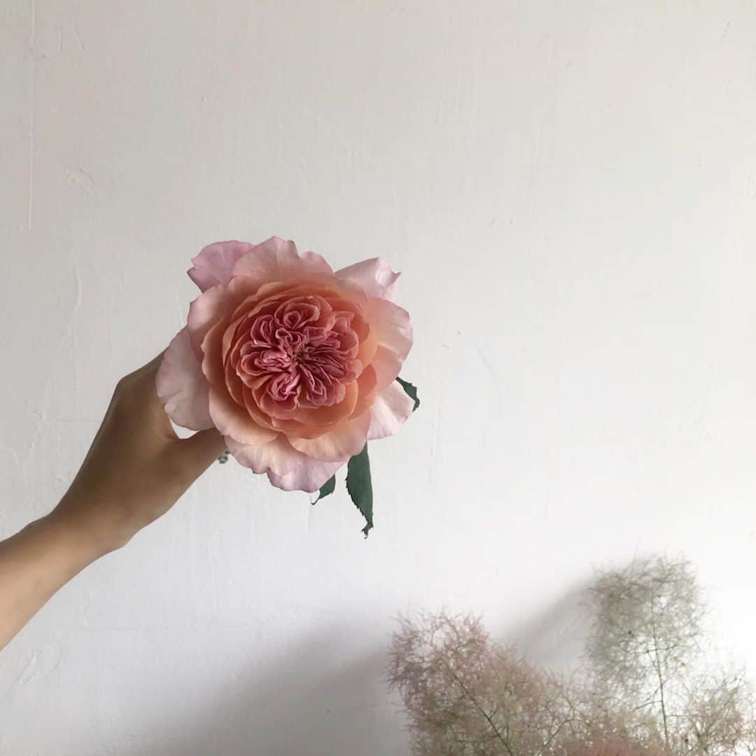 플로리스트 이주연 florist Lee Ju Yeonのインスタグラム