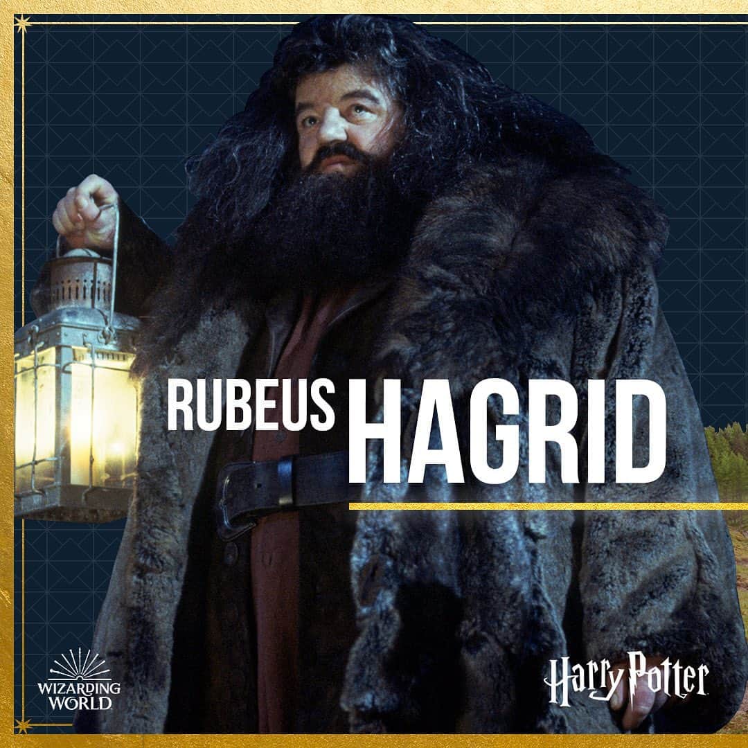 ハリー・ポッターさんのインスタグラム写真 - (ハリー・ポッターInstagram)「Hagrid's incomparable journey has taken him from troubled student to integral friend.」6月30日 1時03分 - harrypotter