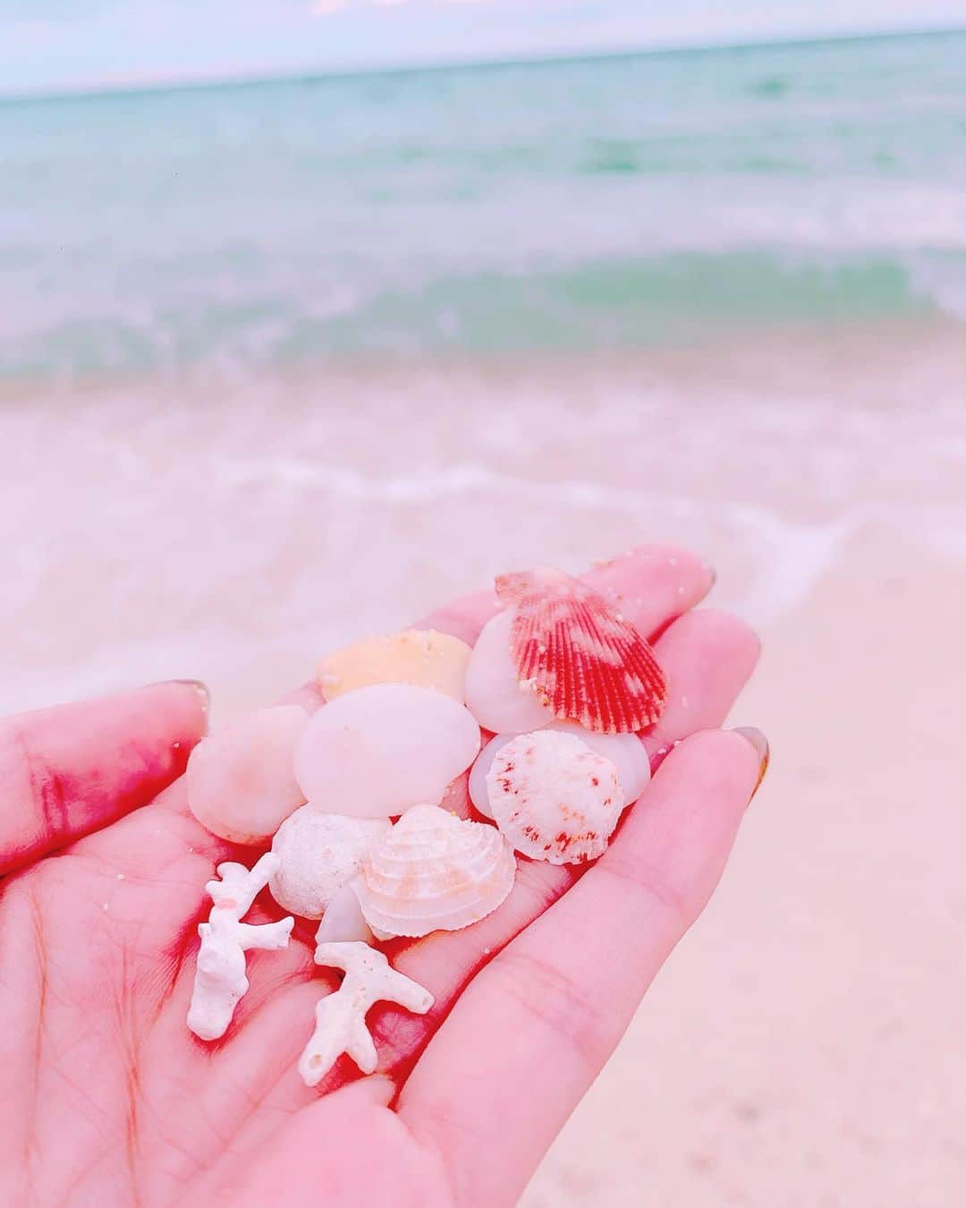 みはとのインスタグラム：「貝殻たくさん🐚💕 ・ お天気悪くて遊べなかったので貝拾い✨ ・ ・ ・ #沖縄 #海岸 #貝殻 #サンゴ」