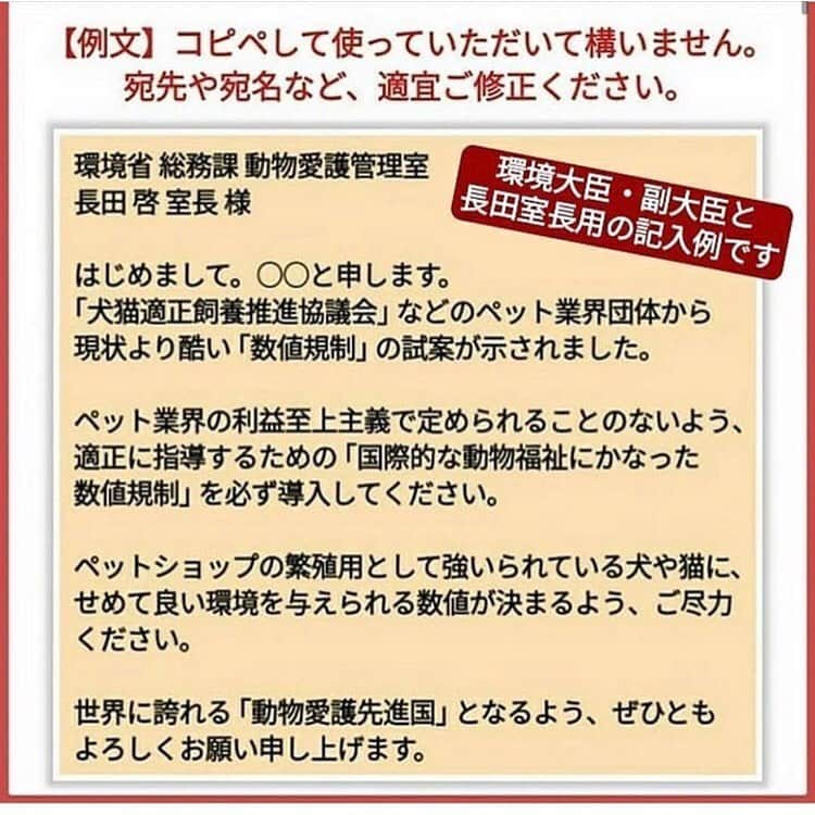 石崎なつみさんのインスタグラム写真 - (石崎なつみInstagram)「. 先ほど、二階堂ふみさんのInstagramでこのことを知りました。 恥ずかしながら、全然知らなかった、、 飼育施設のゲージを、身体の幅1.1倍、高さ1.3倍の大きさにするという素案 もしこれが人間だったら、自分だったら。 そう考えると、想像しやすいかもしれません。 人間にだけ都合の良い決まりごとではなく、命の尊重を。 方法は、環境省に要望のメールを送ること ✉︎moe@env.go.jp ✉︎sizen-some@env.go.jp 2箇所あるみたいで、私は両方に送りました。 本日30日までです！ 私のTwitterにも、メール本文を参考にさせてもらった方のツイートをリツイートしていますので ぜひ今日中に！お願いします。  #数値規制」6月30日 1時16分 - ntmii7