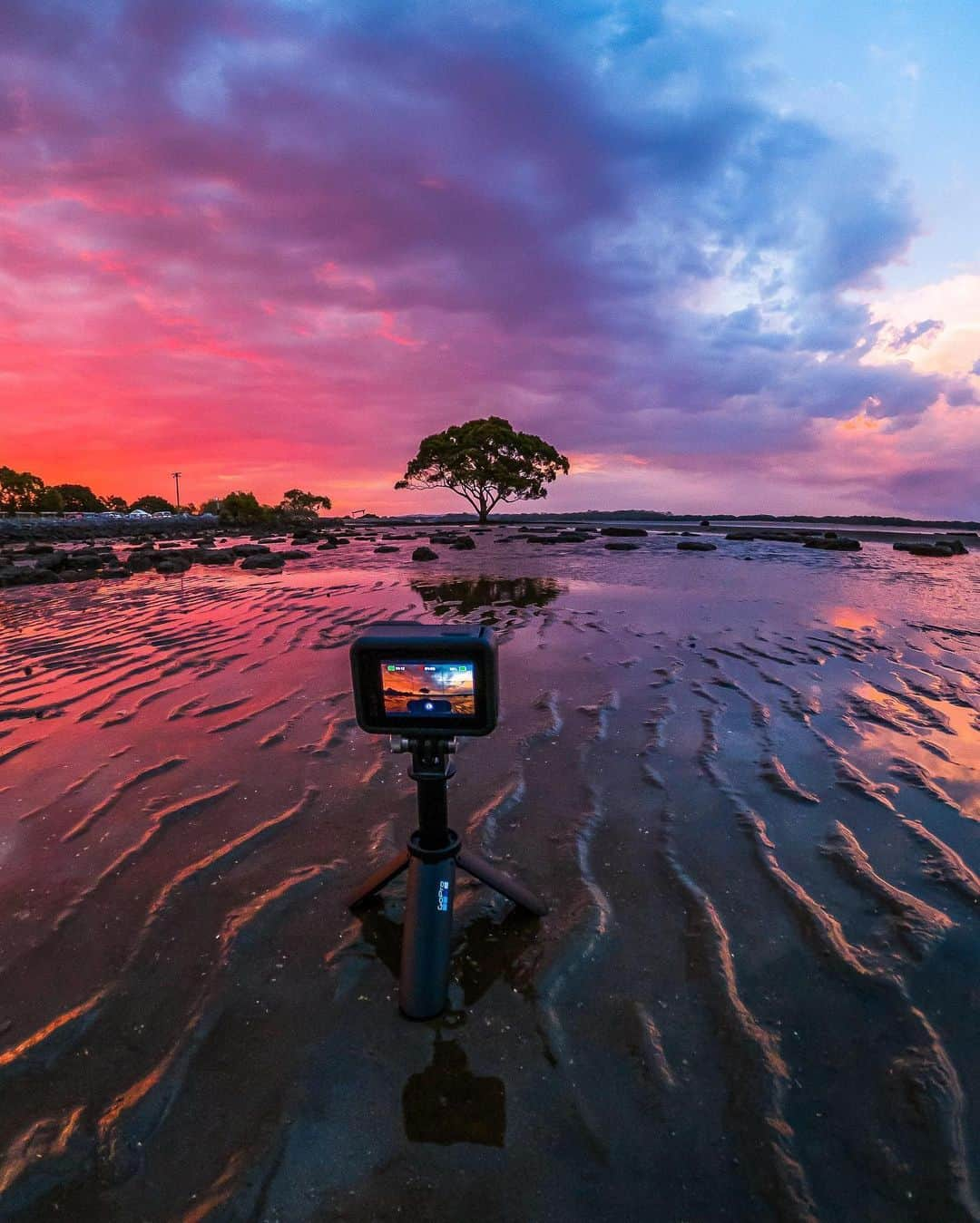 goproさんのインスタグラム写真 - (goproInstagram)「Photo of the Day: Celebrating #NationalCameraDay with one of our favorites - #GoProHERO8 Black. Don't worry, we love you too #GoProMAX 😜 @Mitchellpettigrew ⠀⠀⠀⠀⠀⠀⠀⠀⠀ Capture your summer with $100 off #GoProHERO8 Black. We'll toss in a 32GB SD card + free shipping. 🔗in bio ⠀⠀⠀⠀⠀⠀⠀⠀⠀ @GoProANZ #GoProANZ #Sunset #Reflection」6月30日 1時26分 - gopro