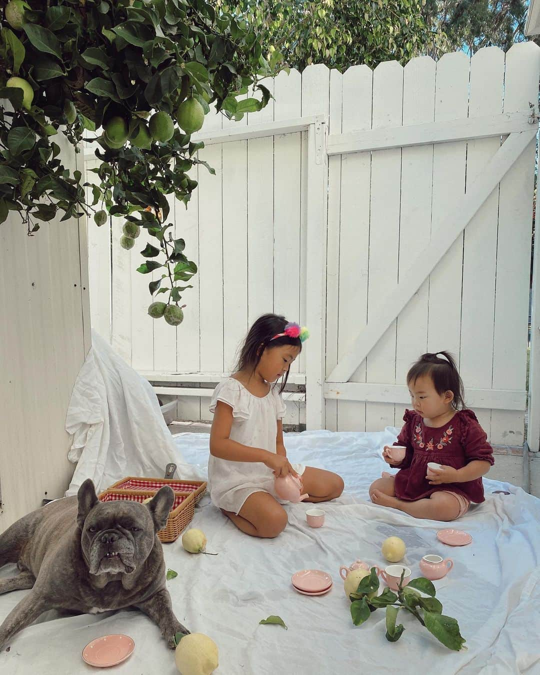 クリッセル・リムさんのインスタグラム写真 - (クリッセル・リムInstagram)「A little morning picnic to start the day. When you ask Chloé what she wants to be when she grows up she says loudly & confidently, “ I want to be a sister”. She truly loves being a sister and that’s the only thing she can imagine to be at this point.  Although I’m home with them all day, most of the time I’m still working. (Yes, the parent guilt is real more than ever during quarantine)But it has been incredible to see Chloé take full responsibility of her sister. From entertaining, changing, feeding, and sometimes even putting her to sleep. Chloé has really stepped it up and colette is sooooooo attached to her. Though there has been many challenges these past few months... THIS is the silver lining of it all. They are inseparable and have such a strong bond. They rely on each other, support one another, & find comfort when they are together 💕 #coletteandchloe」6月30日 1時31分 - chrisellelim