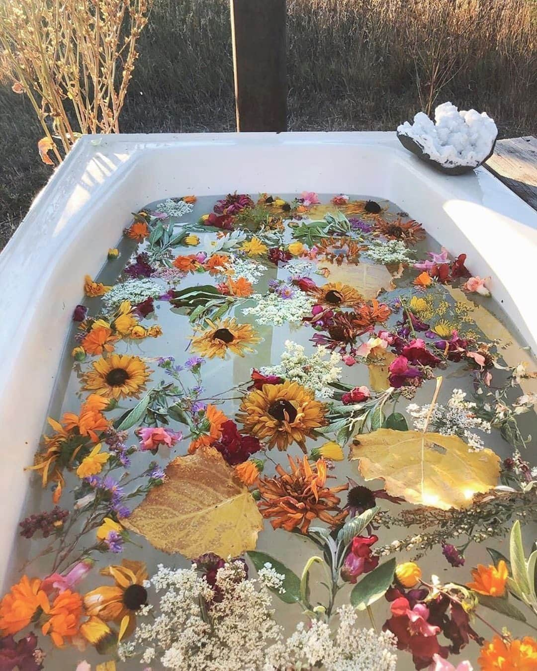 SHEINさんのインスタグラム写真 - (SHEINInstagram)「Bath of our dreams! 🌼🌿 @plantfolk  #bathrituals #bathritual #flowerpower #flowerbath #plants」6月30日 2時30分 - sheinofficial