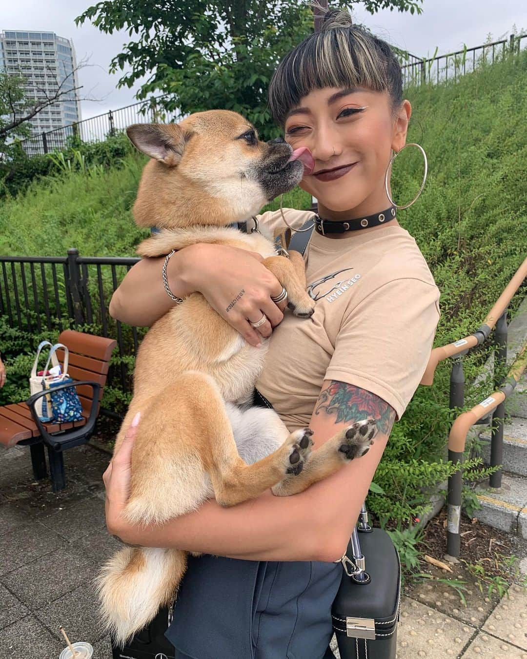 JASMINEさんのインスタグラム写真 - (JASMINEInstagram)「川沿いでいつも絡む犬🥳ヨトくん。パグとシバの、ミックスで。下あごが出ててぶちゃ可愛い。性格は温厚でひとなつっこい🥰飼い主のおばあちゃんも優しくて好き❤️  🤐間違え探しの動画みたい🥺」6月30日 13時11分 - jasmilicious