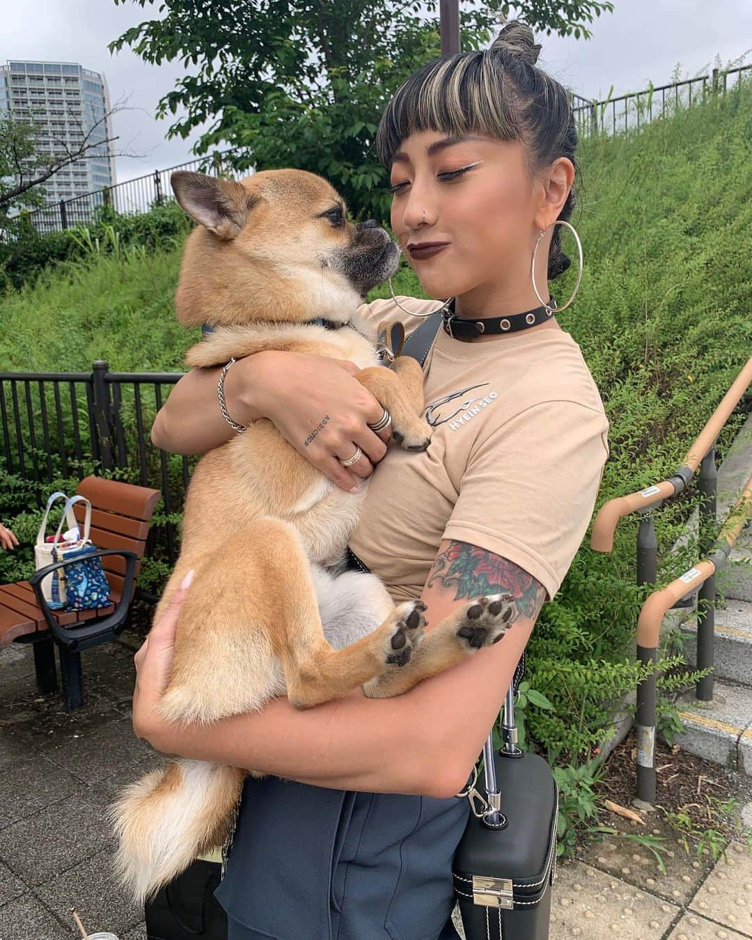 JASMINEさんのインスタグラム写真 - (JASMINEInstagram)「川沿いでいつも絡む犬🥳ヨトくん。パグとシバの、ミックスで。下あごが出ててぶちゃ可愛い。性格は温厚でひとなつっこい🥰飼い主のおばあちゃんも優しくて好き❤️  🤐間違え探しの動画みたい🥺」6月30日 13時11分 - jasmilicious