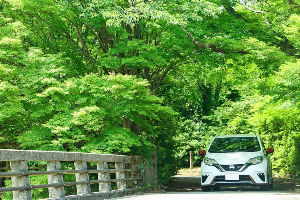 日産自動車さんのインスタグラム写真 - (日産自動車Instagram)「Photo by @inoueyuki1997﻿ ﻿ #日産ノート #NISMO #新緑 #日産 #nissan﻿ #ニッサン #nissanjapan #🚗 #5523﻿ ﻿ #5523☘️ をつけたたくさんの素敵なお写真をありがとうございました。今後も#5523 投稿をお待ちしております。」6月30日 13時14分 - nissanjapan