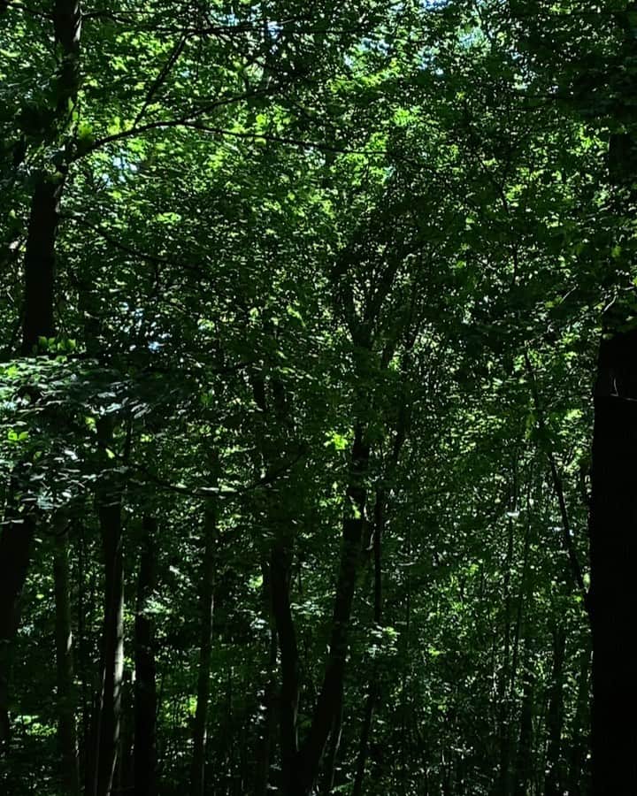 Mathilde Goehlerのインスタグラム：「Like a dream 💚 so impressed by nature」