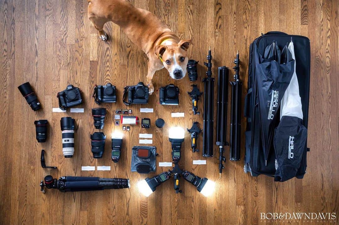 CANON USAさんのインスタグラム写真 - (CANON USAInstagram)「Find out what's in #CanonExplorerOfLight @bobanddawn_inthewild's gear bag! | "Weddings and events are exciting milestone moments in people's lives, I love the challenge of capturing these fleeting moments. My goal is to capture the couple in the best possible light, both literally and figuratively. Everything in this kit is here for the sole purpose of telling the story of the day. Most everything I photograph is on location. I never want to be in the creative zone and wish I had a softbox or a macro lens with me! Cameras today are so amazing, providing us creatives the ability to take pictures in almost any conditions, but that doesn't always mean the available is the best option for creating photographs of our clients. Speedlites allow me to create the light I see in my imagination, and never be a victim of poor available light. I use Speedlites to add that spark of light, the catchlights in the eyes that bring the photograph to life. I use all the light available to me, my style is a blend of natural light and off-camera flash to make the best possible picture in any situation I find myself in."」6月30日 5時15分 - canonusa