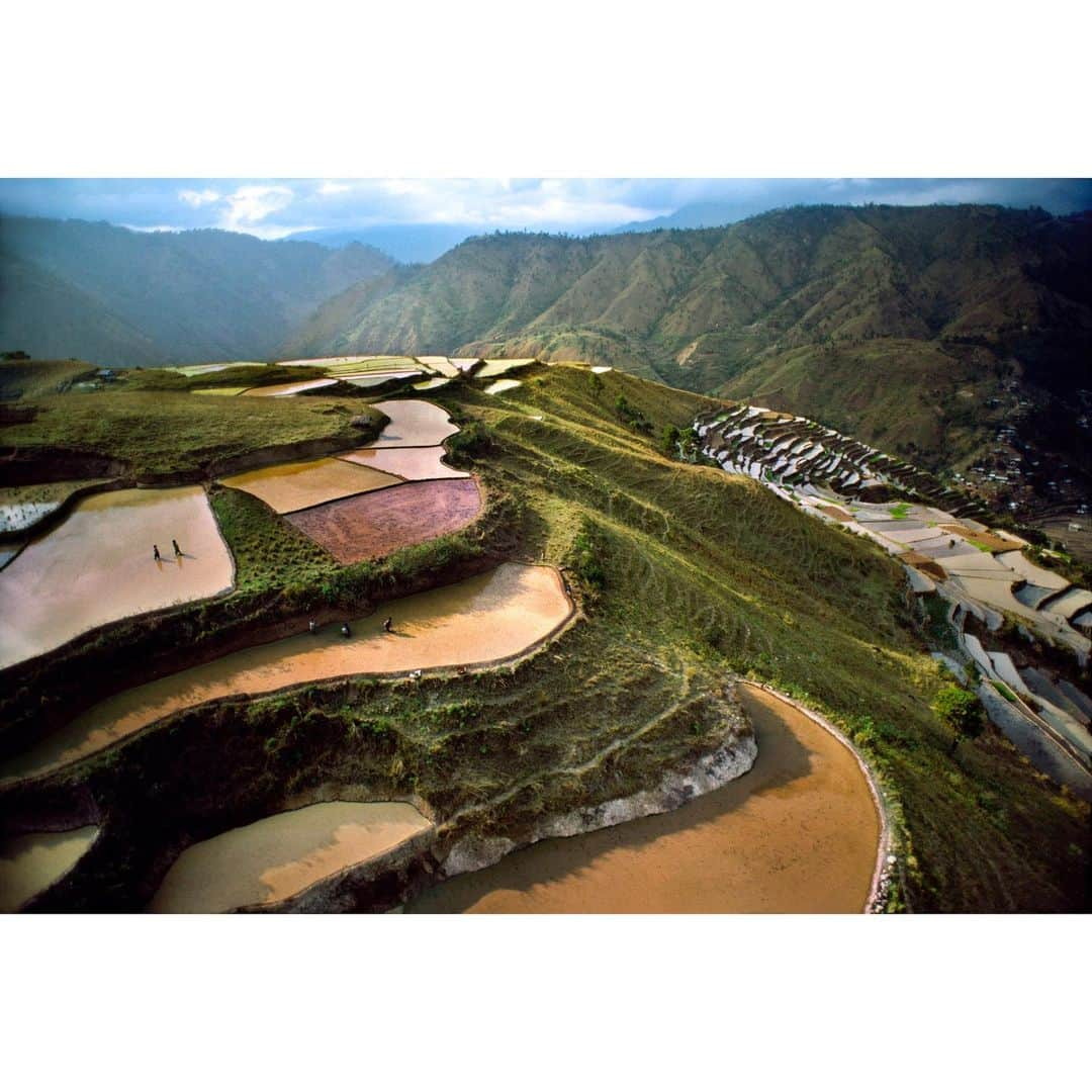 スティーブ・マカリーさんのインスタグラム写真 - (スティーブ・マカリーInstagram)「1st image: Aerial view of rice fields, #Banaue, #Philippines, 1986. 2nd image: A farmer tends corn, #Mindanao, 1985.  #SteveMcCurry」6月30日 6時04分 - stevemccurryofficial