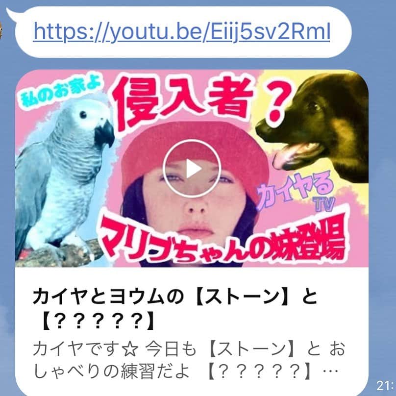 カイヤのインスタグラム