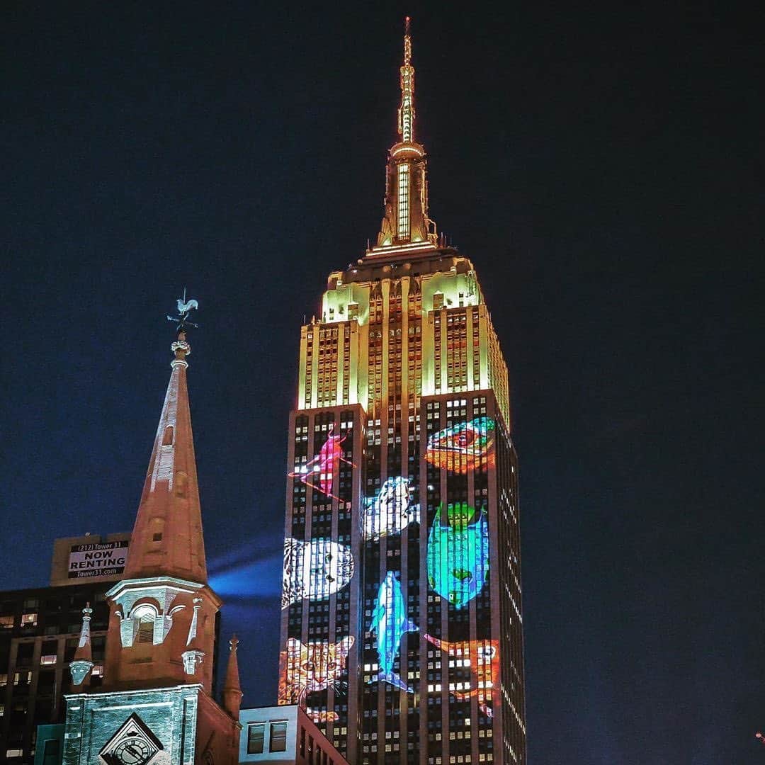 Empire State Buildingさんのインスタグラム写真 - (Empire State BuildingInstagram)「Just keep swimming…🐟 ⠀⠀⠀⠀⠀⠀⠀⠀⠀ Have you caught one of our projections? Comment below! ⠀⠀⠀⠀⠀⠀⠀⠀⠀ 📷: @nyclovesnyc #EmpireStateBuilding」6月30日 6時49分 - empirestatebldg