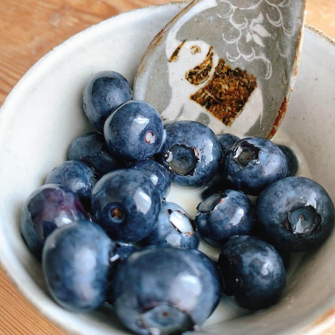 のインスタグラム：「ヤッホイブルーベリー😍今年もキロ買い😆！I love blueberry 💕去年はイマイチだったけど今年のブルーベリーは美味しいばい👍❣️今年はピーチパイ🍑にルバーブパイ😋赤紫蘇ジュースや梅シロップも作りたいな♪  #urandish #ブルーベリー #土本訓寛 #土本久美子」
