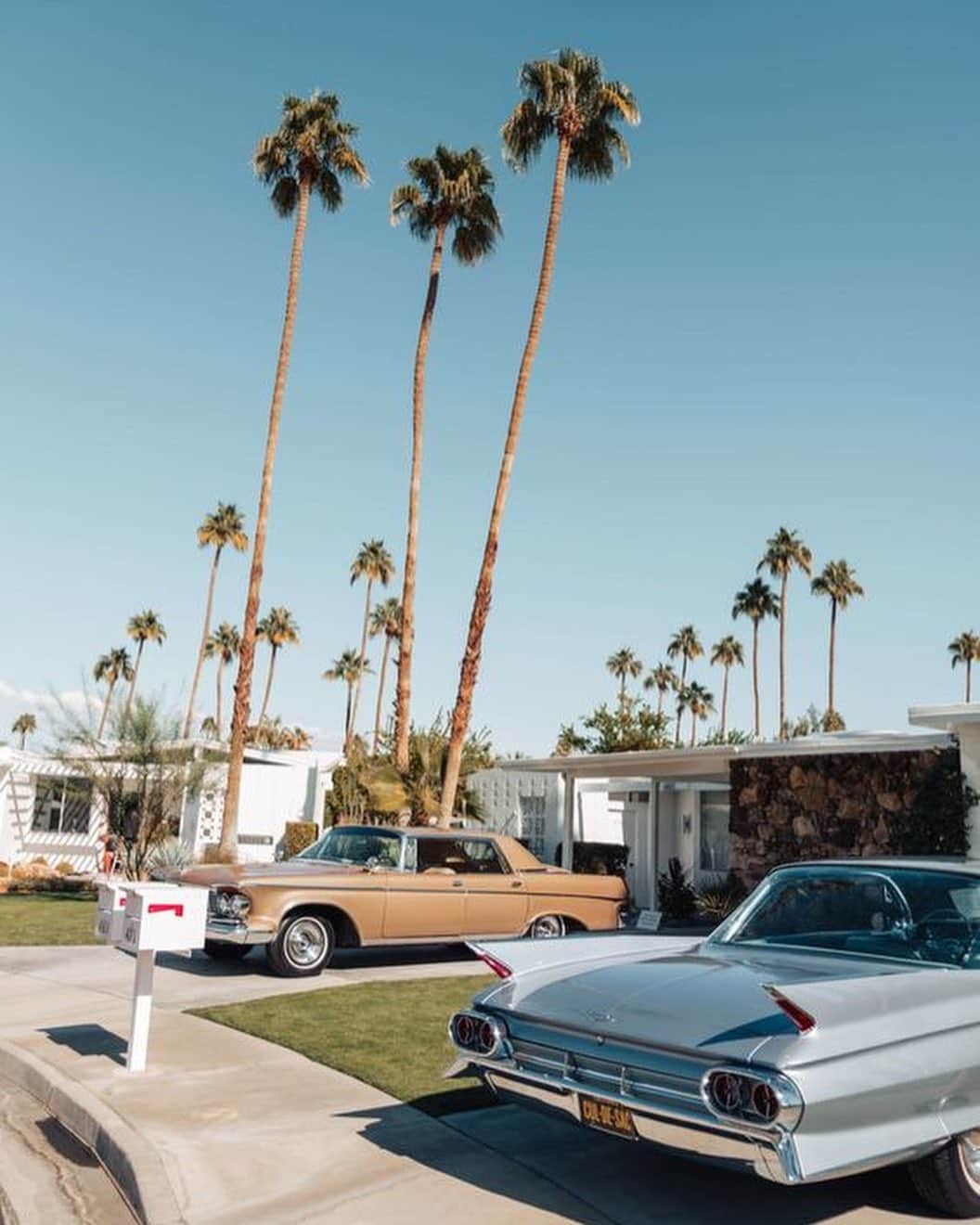 のインスタグラム：「Stay cool with fresh arrivals 🌴⁠⠀ ⁠⠀ Swipe for all things summer from @simonmillerusa, @beams_japan, @jw_anderson, @sundryclothing and @homegrownsunset ☀️  #beams #beamsplus #sundry #jwanderson #summer #palmtrees #simonmiller #homegrown #losangeles #summerlook #summerpicks #fredsegal」