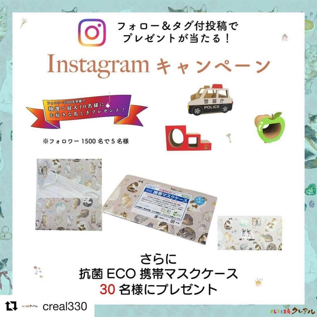 コテツさんのインスタグラム写真 - (コテツInstagram)「2020/6/30 こてっちゃん 爪とぎ2段活用 掃除のため重ねてたら 乗ってました^_^ @creal330 の爪とぎ どれもみんなお気に入り こてっちゃん端っこ噛むから また応募します^_^  #Repost @creal330 with @get_repost ・・・ くらふと工房クレアル インスタグラム キャンペーン  フォロー＆タグ付投稿でプレゼントが当たる！  フォロワー数が増えるとプレゼント枠が増える 2000名達成で　１０名様 1500名達成で　５名様　現在確定中！！ 応募期間 2020/06/13-06/30  抽選結果 集計後（１週間） ストーリー・投稿にて結果を発表いたします。  さらに 新商品 安心・安全 抗菌ECO携帯マスクケース　マスク付を30名様にプレゼント お出かけの時にマスクの置き場所やいざと行った時にマスクを忘れたことはないでしょうか？ そんな時に使っていただけるマスクケースを制作いたしました。 自分用やお友達へのプレゼントにいかがでしょうか？ 販売も今日からスタートいたします。  ぜひこのキャンペーンで猫ちゃんたちとおうちで楽しみましょう！！ #くらふと工房クレアル #猫 #猫用品 #つめとぎ #爪とぎ #キャンペーン #ねこのいる生活」6月30日 9時14分 - kotetuchan