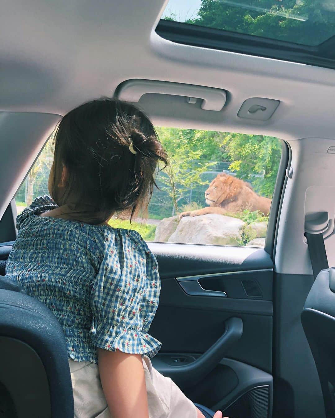 垣内彩未さんのインスタグラム写真 - (垣内彩未Instagram)「先週末、 富士サファリパークへ🦓🦒🐘  マイカーに乗って 色々な動物に会えるので 本当に安心して 心から楽しめました🌼  「どこ行きたい？」と聞くと いつも 「動物園」と言う娘も 大満足の様子☺️  クマの入浴(？)姿が 可愛すぎてツボでした😂🐻」6月30日 9時34分 - kakiuchiayami